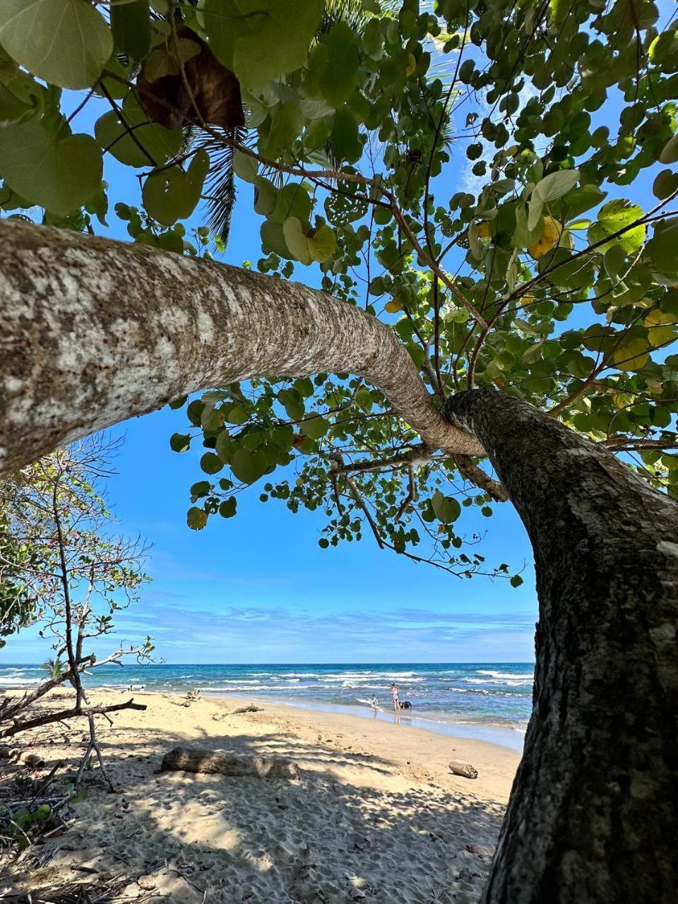 Caribbean Flow Puerto Viejo de Talamanca Εξωτερικό φωτογραφία